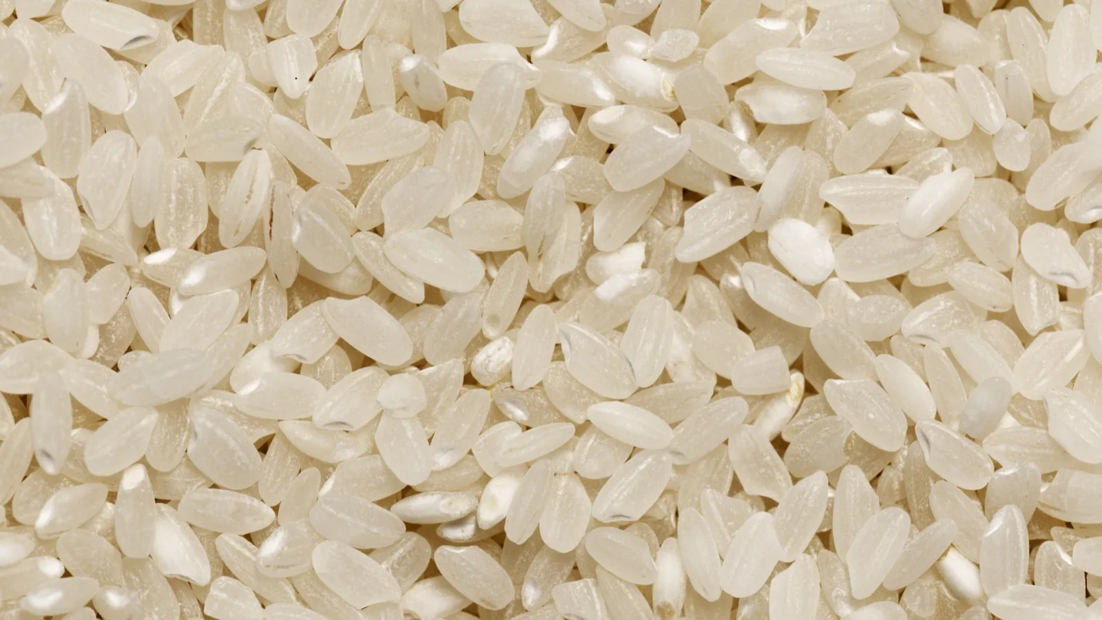 Editorial macro photograph of loose white rice grains